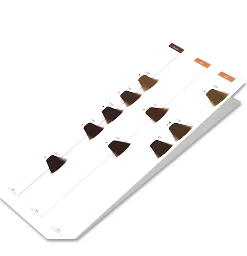 IGORA ROYAL Innstikk Premium Fargekart (-57/-65/-5)