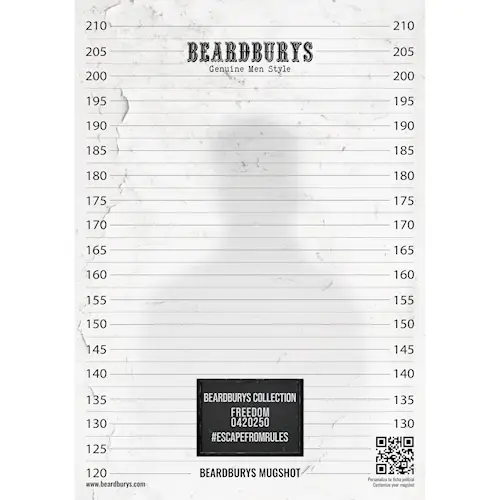 Alcatraz Ficha Poster