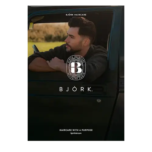 Bjork - Poster 50x70cm (Male Model In Car)
