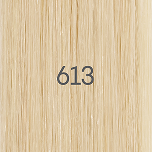 25cm Standard  - 613