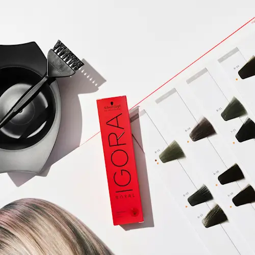 Igora Royal Cool innstikk Premium Fargekart