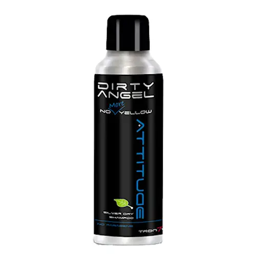 No More Yellow Silver Dry Shampoo